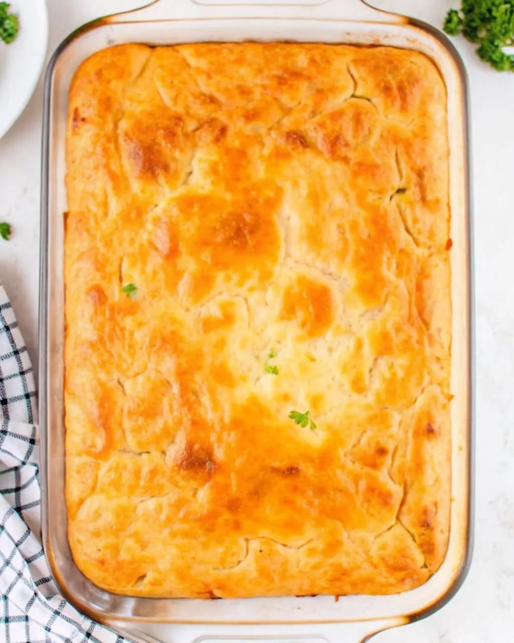 An overhead shot of a full white baking dish containing a golden-brown chicken cobbler with a bubbly, toasted biscuit-style crust.